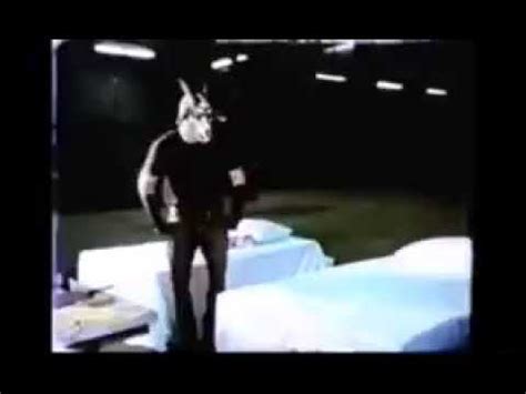 dafu love video gore|Videos .